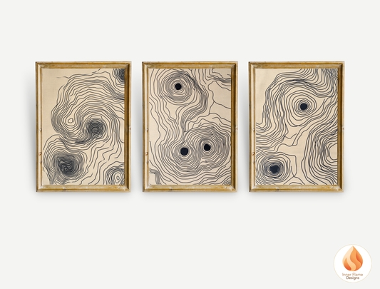 Contoured Line Art for Modern Home Design | Triptych Artwork